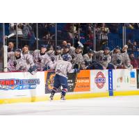 Forward Bobby Watson is congratulated by Tulsa Oilers teammates