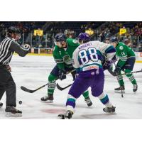 Florida Everblades face off with the Orlando Solar Bears