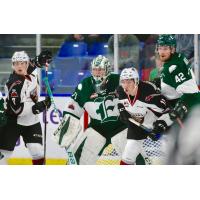 The Vancouver Giants vs. Everett Silvertips Goaltender Carter Hart