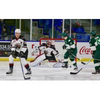 Vancouver Giants Goaltender David Tendeck corrals a puck vs. the Evertt Silvertips