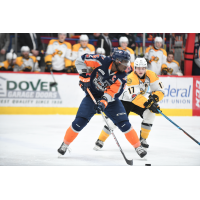 Flint Firebirds vs. the Sarnia Sting