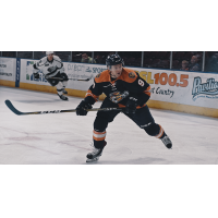 Greenville Swamp Rabbits Forward Shane Walsh