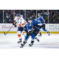 Forward Max French of the Idaho Steelheads