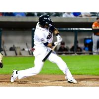 Somerset Patriots Utilityman Justin Trapp