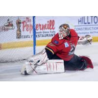 Goaltender Tomas Sholl with the Adirondack Thunder