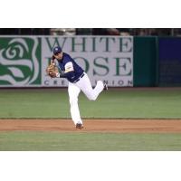 York Revolution Infielder Ryan Dent prepares to throw