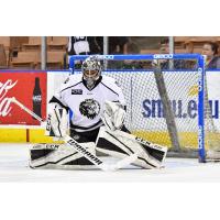 Manchester Monarchs Goaltender Charles Williams