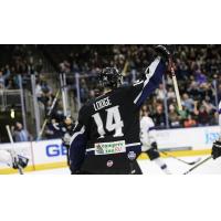 Jimmy Lodge of the Jacksonville IceMen celebrates a goal