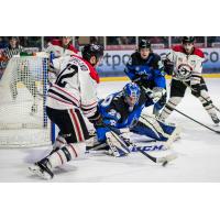 Lincoln Stars Goaltender Tomas Vomacka stops the Waterloo Black Hawks