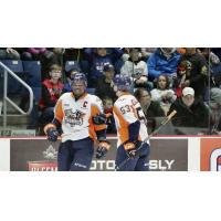 The Flint Firebirds offer congratulations on a goal at Guelph