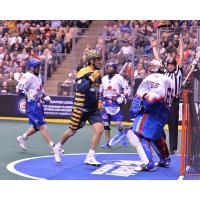 Lyle Thompson of the Georgia Swarm scores against the Toronto Rock