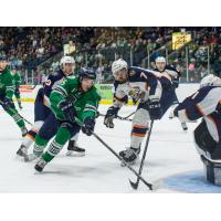 Florida Everblades Forward Mitchell Heard confounds the Greenville Swamp Rabbits