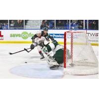 Vancouver Giants pressure the Everett Silvertips