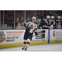 Forward Jack Nevins with the Greenville Swamp Rabbits