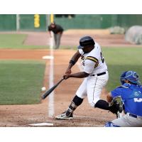 Michael Burgess of the York Revolution at the plate