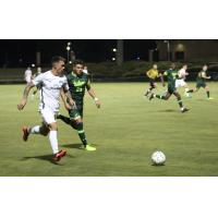 Tampa Bay Rowdies vs. the USF Bulls in preseason action