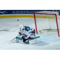 Kelowna Rockets Goaltender Brodan Salmond deflects a Kamloops Blazers shot