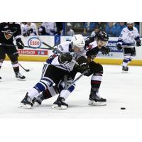Vancouver Giants Defenceman Brennan Riddle vs. the Victoria Royals