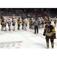 Hamilton Bulldogs and Niagara IceDogs exchange handshakes after playoff series