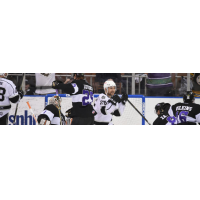 Manchester Monarchs vs. the Reading Royals in Playoff Game 2