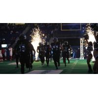 Carolina Cobras enter the field