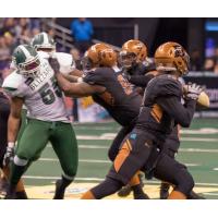 Arizona Rattlers vs. the Green Bay Blizzard