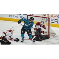 Tucson Roadrunners vs. the San Jose Barracuda