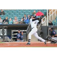 Jackson Generals outfielder Ben DeLuzio swings for the fences