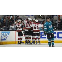 Tucson Roadrunners celebrate vs. the San Jose Barracuda