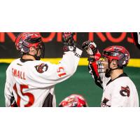 Corey Small of the Vancouver Stealth celebrates a goal