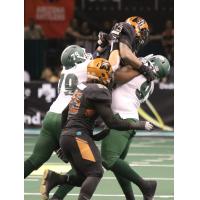 Arizona Rattlers-Green Bay Blizzard pileup