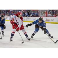 Alex Guptill of the Allen Americans vs. the Idaho Steelheads