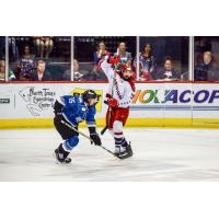 Steve McParland of the Idaho Steelheads vs. the Allen Americans