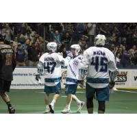 Rochester Knighthawks celebrate a goal