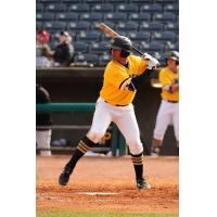 West Virginia Power outfielder Calvin Mitchell at the plate