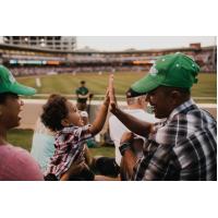 Fans at a Dayton Dragons game