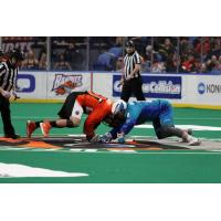 The Buffalo Bandits and Jake Withers of the Rochester Knighthawks battle for possession