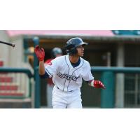 Daniel Brito of the Lakewood BlueClaws