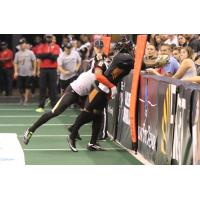An Arizona Rattlers receiver makes a catch over the boards against the Iowa Barnstormers