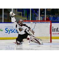 Vancouver Giants goaltender David Tendeck makes a high catch