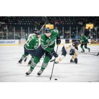 Justin Auger with the Florida Everblades