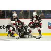Vancouver Giants RW Cyle McNabb is taken down by the Prince George Cougars