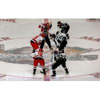 Utah Grizzlies face off with the Allen Americans