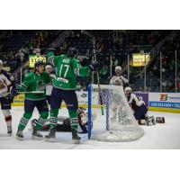 Justin Auger and the Florida Everblades celebrate Auger's goal against the Greenville Swamp Rabbits