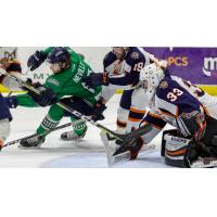 Greenville Swamp Rabbits goaltender Garrett Bartus and his defense try to stop the Florida Everblades