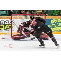 Justin Almeida of the the Moose Jaw Warriors shoots against the Prince George Cougars