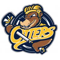 Erie Otters primary logo