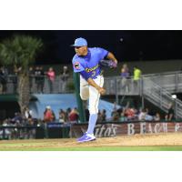 Myrtle Beach Pelicans pitcher Jesus Camargo