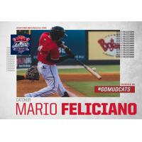 Carolina Mudcats catcher Mario Feliciano