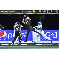 Columbus Destroyers wide receiver Paul Browning hauls in a touchdown vs. the Philadelphia Soul